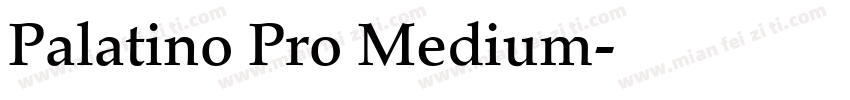 Palatino Pro Medium字体转换